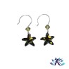 Boucles d'Oreilles Argent 925 Etoile Cristal Starfish 16mm - Crystal Tabac