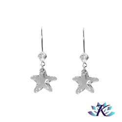 Boucles d'Oreilles Argent...